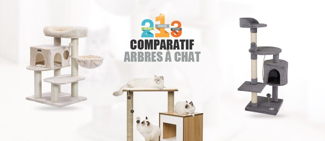 Arbre à Chat Meilleurs Prix 2020 Comparatif Arbres à