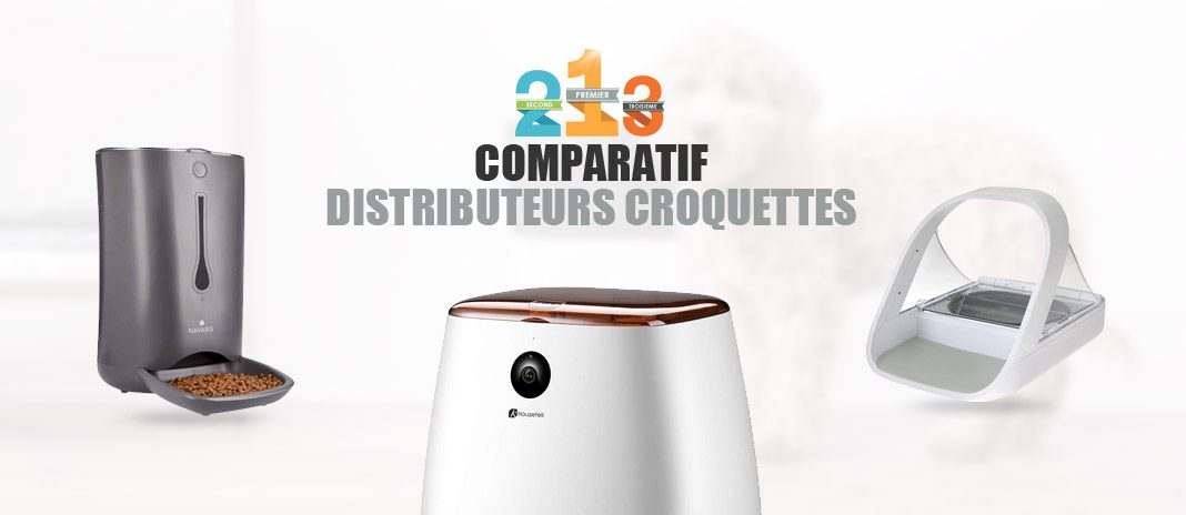 Distributeur automatique WIFI pour poissons - Petits Compagnons