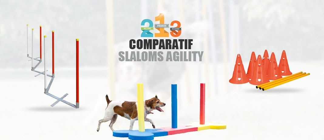 meilleur slalom agility