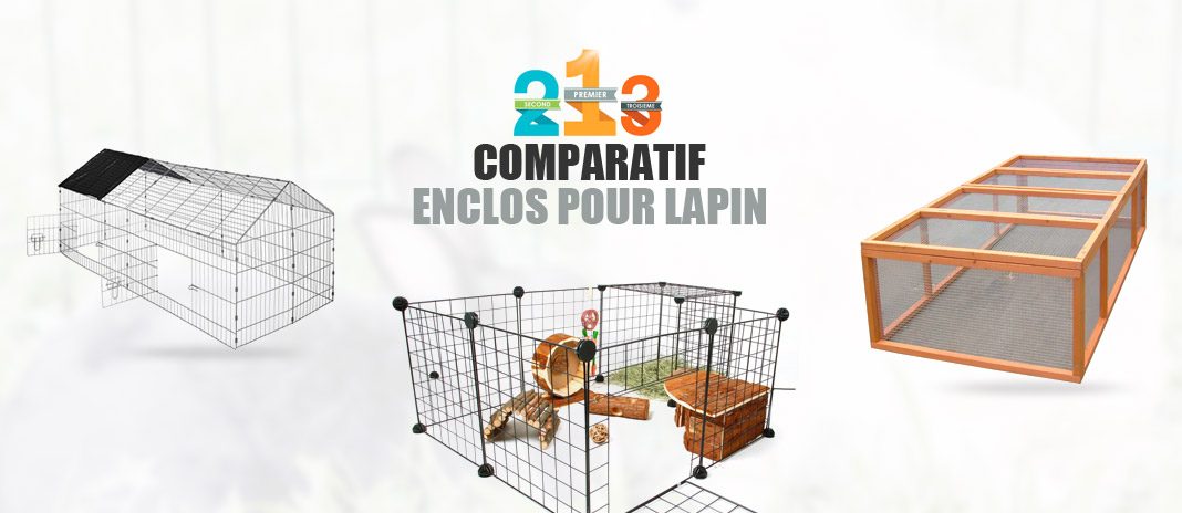 meilleurs enclos lapin