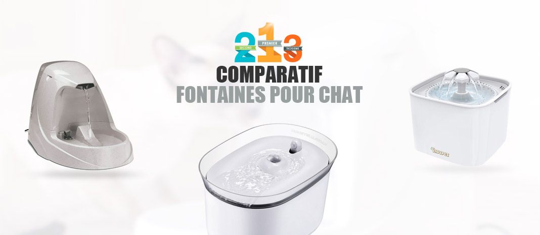 Fontaine à Eau Pour Chat Meilleurs Prix 2020 Comparatif