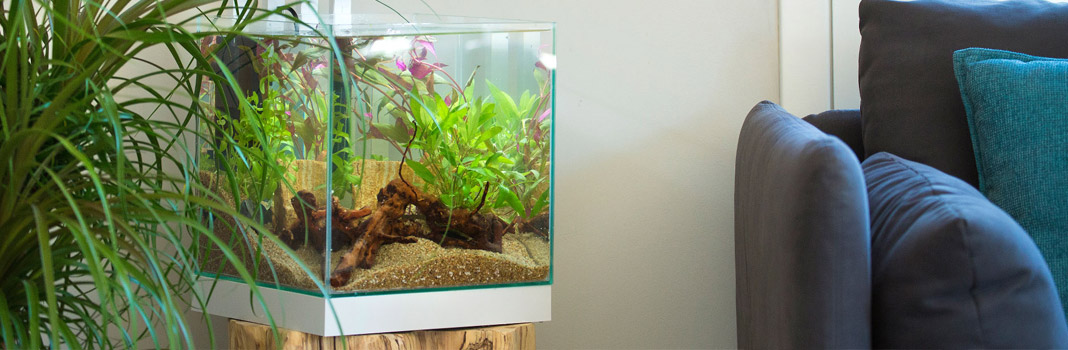 osmoseur aquarium