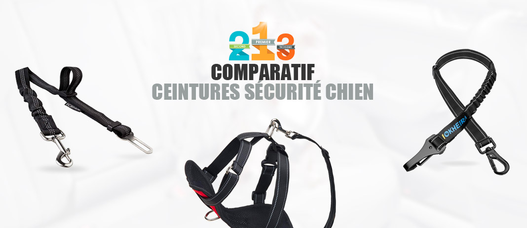 Harnais Ceinture De Sécurité Universel Pour Chien Et Chat KYLOS - Ajustable 45-65cm, Absorption Des Chocs, Certification Européenne - Pour Voiture - 11