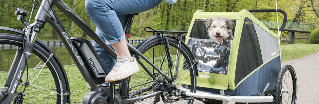 remorque vélo pour chien