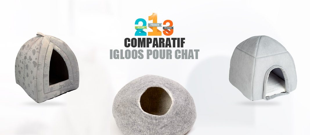 meilleur igloo chat