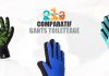 meilleurs gants de toilettage