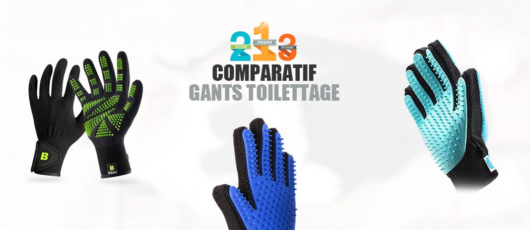 meilleurs gants de toilettage