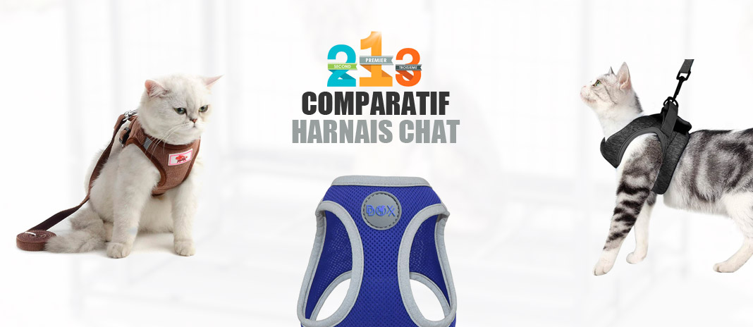 Harnais Chat Meilleurs Prix 21 Comparatif Modeles Harnais Chat Meilleurs Prix 21 Comparatif Modeles