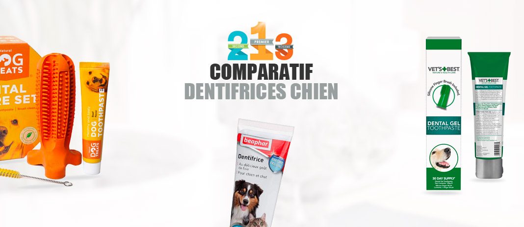 meilleur dentifrice chien