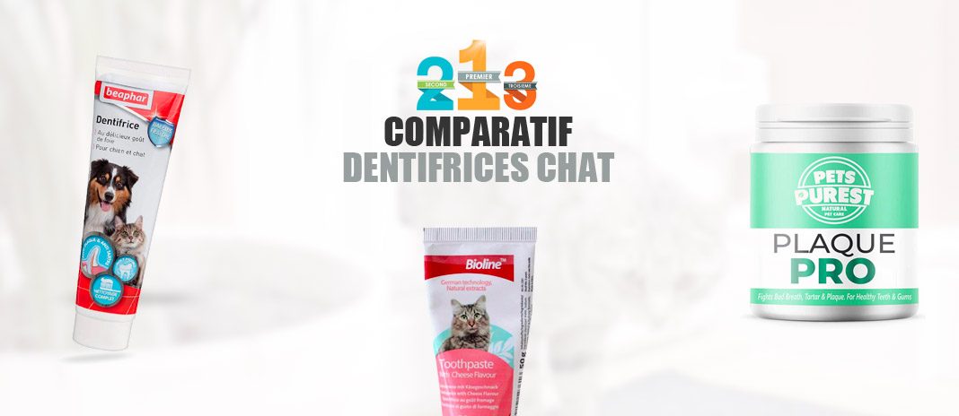 meilleur dentifrice chat