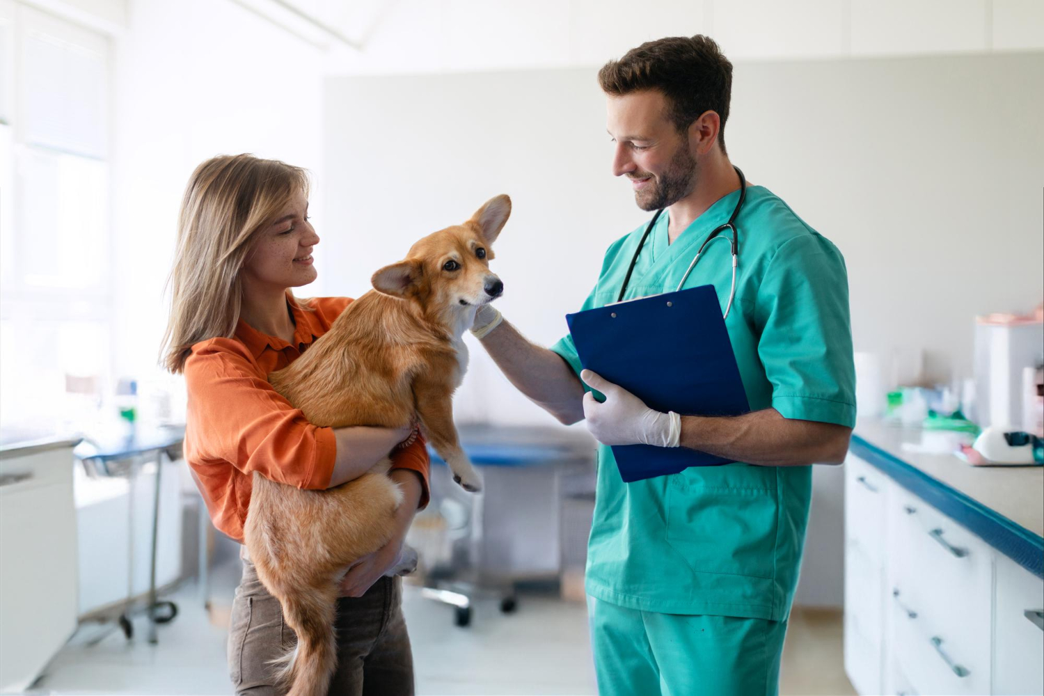 Une femme tenant son chiot Corgi Pembroke se trouve dans une clinique vétérinaire pour un bilan de santé